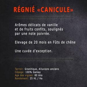 Régnié Canicule - Descriptif - Domaine Tano Péchard - Vins du beaujolais